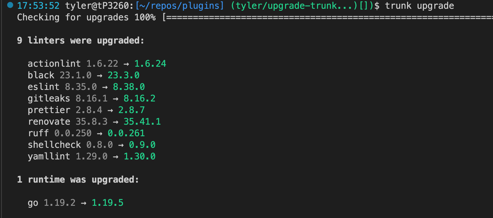 screenshot of 9 linters being upgraded